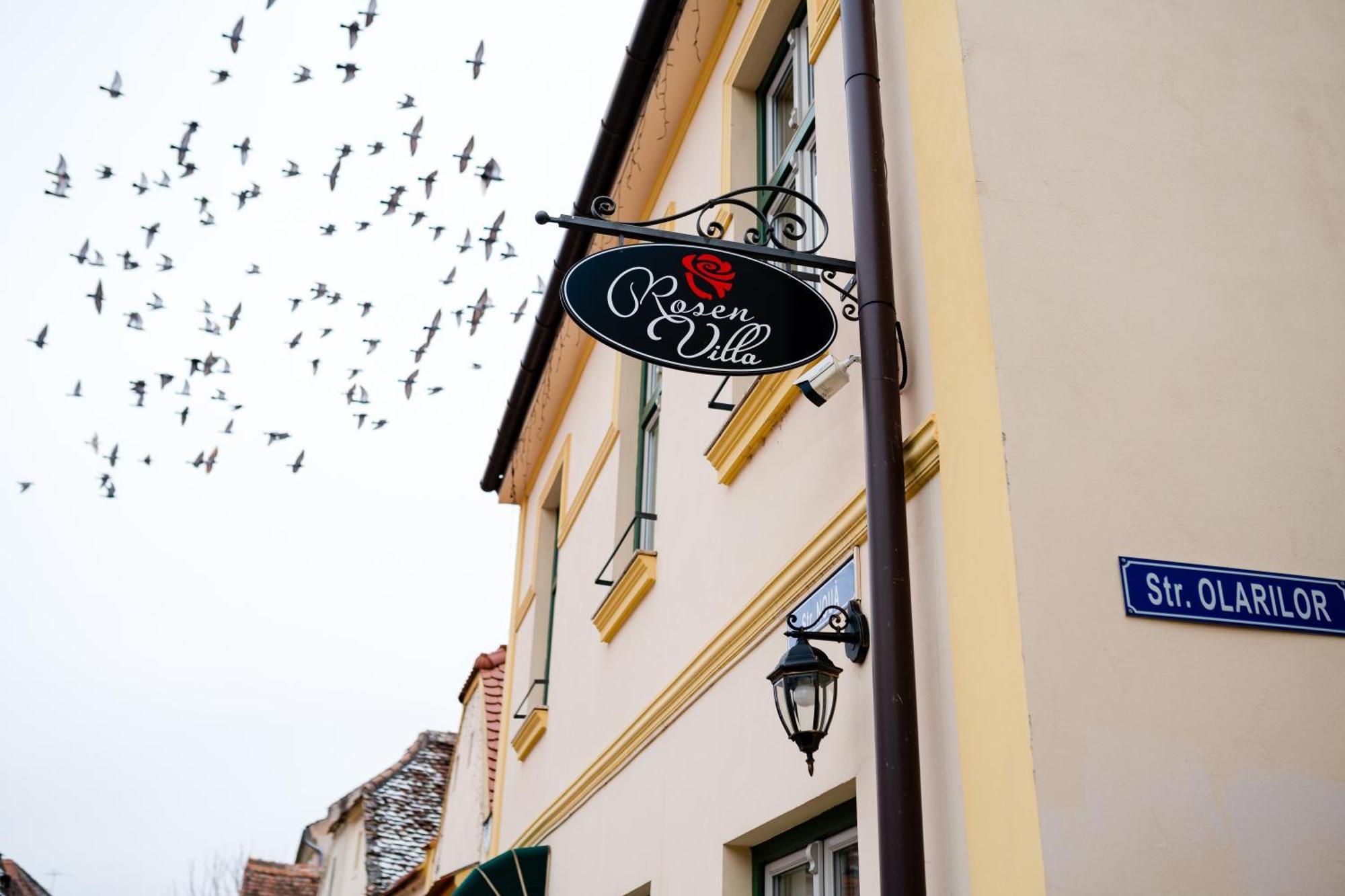 Rosen Villa Sibiu Buitenkant foto
