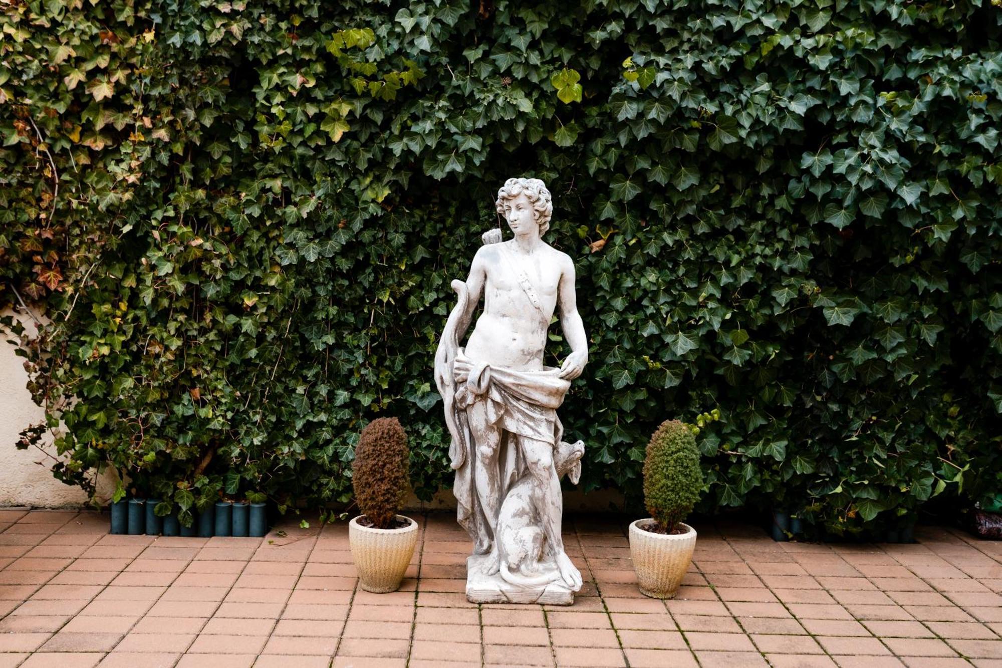 Rosen Villa Sibiu Buitenkant foto